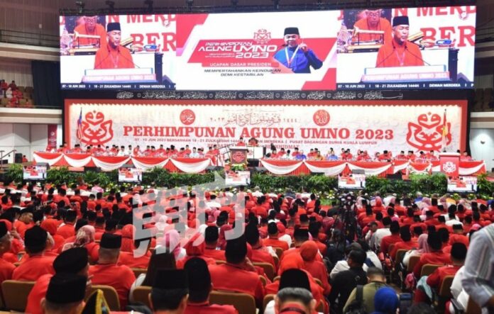 228eb983b4b83c957caf5d67a318a261