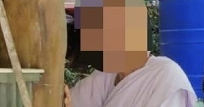 235602cxxpwx9pdrgxpp9t