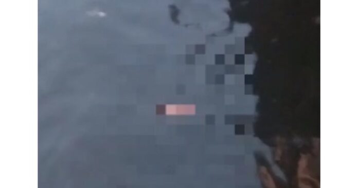 2c3938da4c1f02ae26bfd5f6632e276b