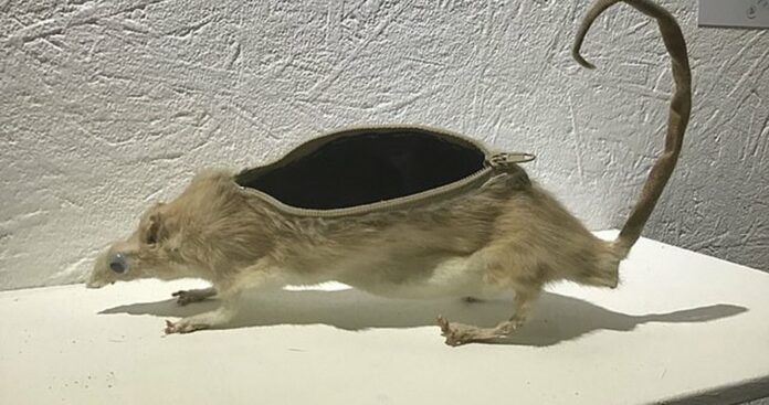 34741786-8871441-image-a-15_1603443654453