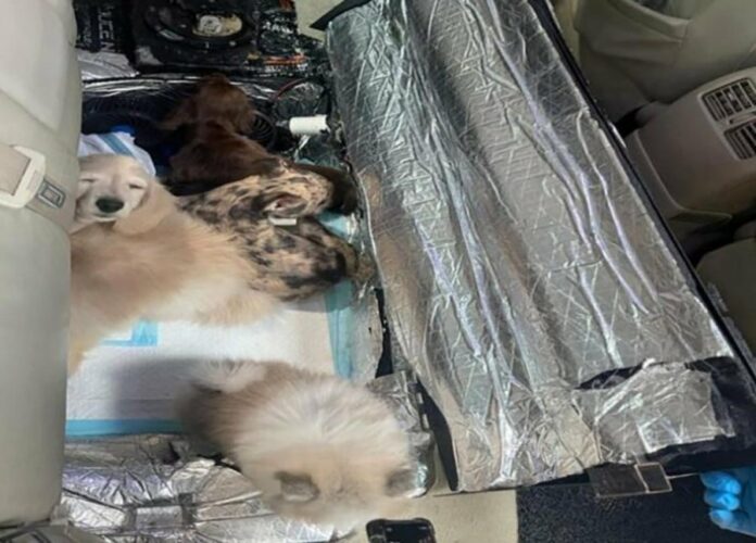 721849787114b7224b2891ac443c1161