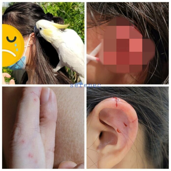 85996cbeae7ee754806d6bca260edc86