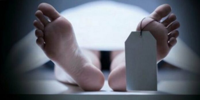 910bb1c59bcf69499e95c3e8b4817cb9