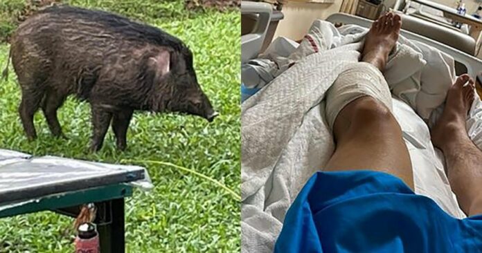 c755b27ee7cd81a83c4794c6393d12ee