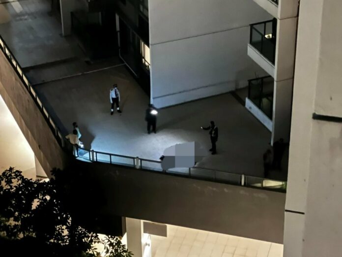 e220afe83a28e24a74b8b68c312355e9