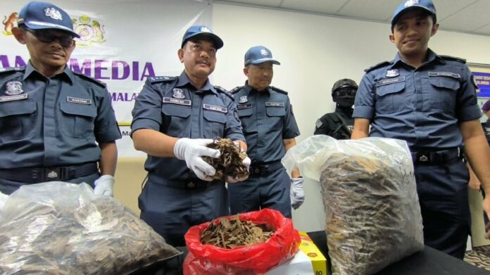 e801b00e20a135c615eedfab2578cb8b