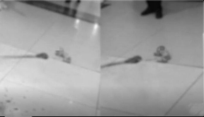 ec57b8e5757d6393e812fe11ab4b9c4a