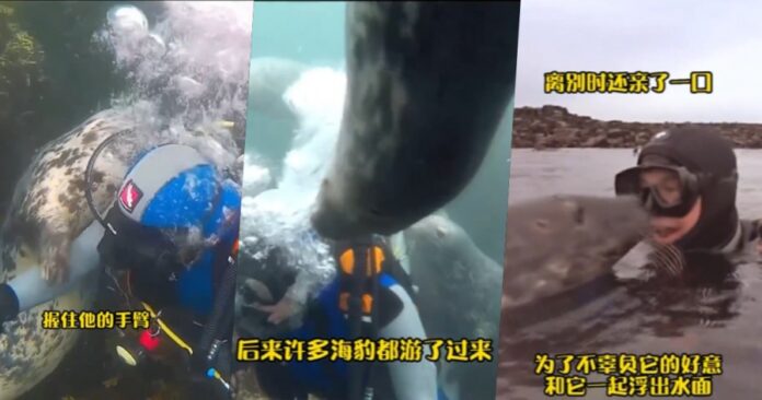 f9274bda07005970949f5423d5b81bba