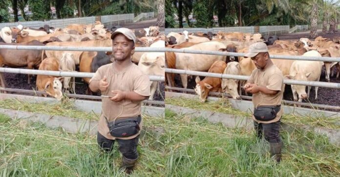 2d22f88e50762f1dfa4f1b2ff41d53de