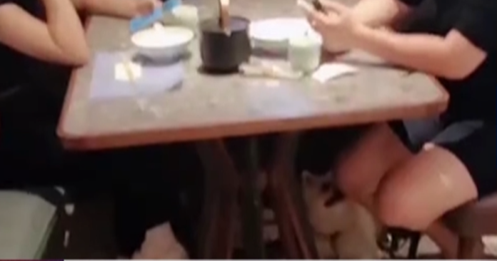 54d149444fa376bae79f0cb6e9ca10a1