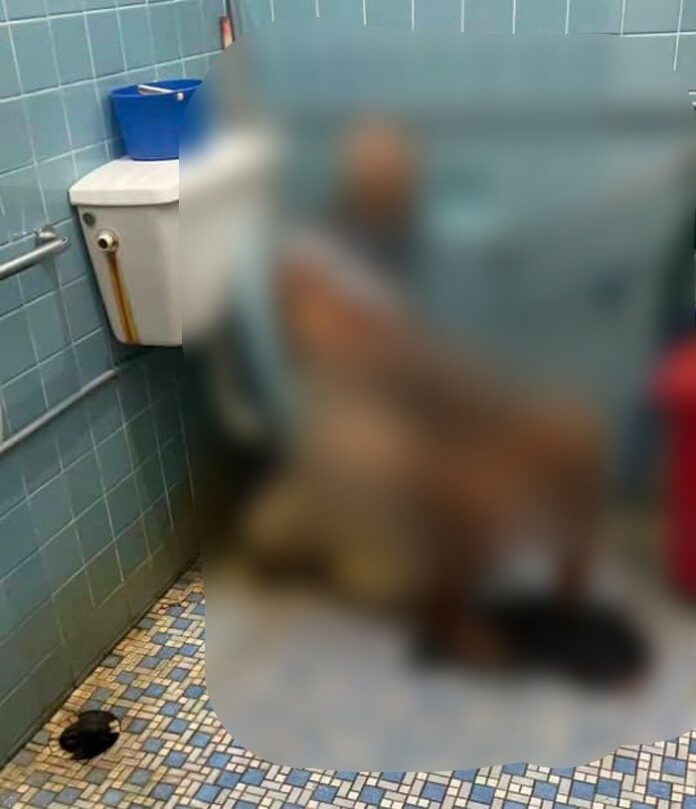 WhatsApp_Image_2023-07-03_at_11.56.17_PM