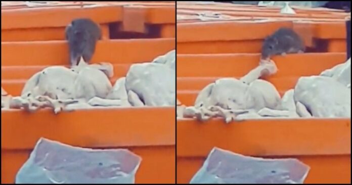 c89ed460792c97032c459bb406861742