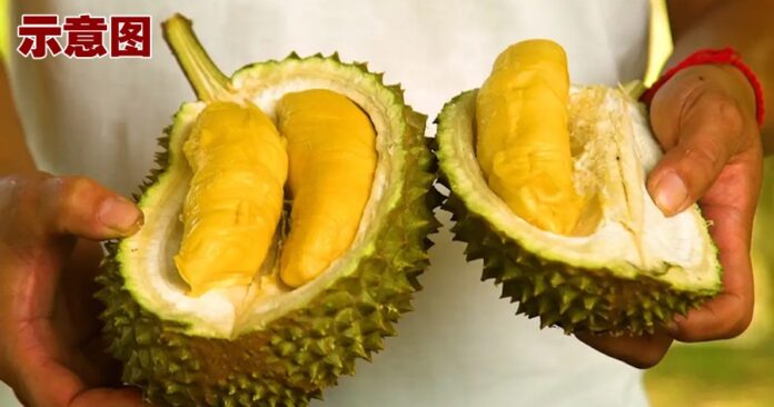 durian