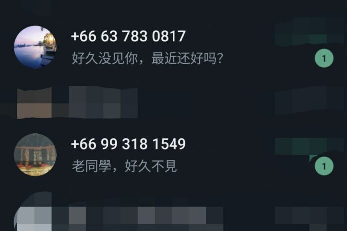 sj2307022a