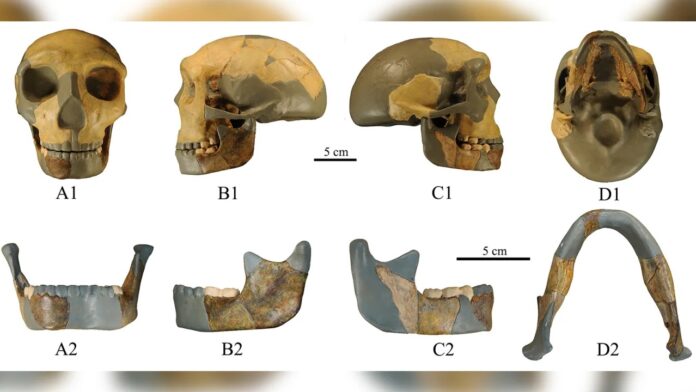 230810035045-ancient-skull-china-human-evolution-scli-intl