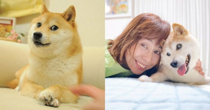 2f885eb2b78751442374074ac14bb830