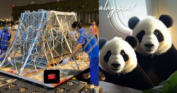 47d5a7efe264d596a5ca85f11e1ecfd0