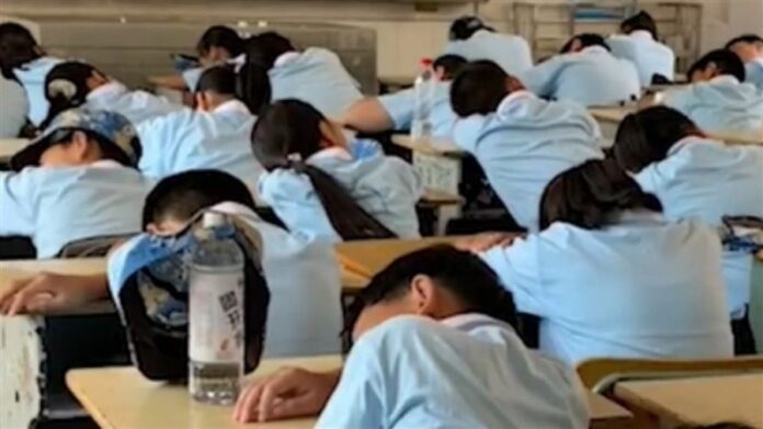 4912b9954a2141cf43f788ccab8fd557