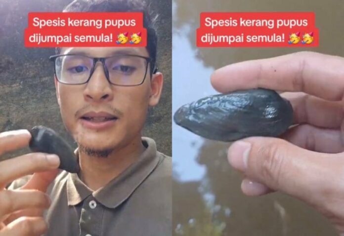 683f51849703f4095b88095185d72404