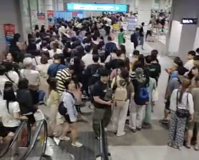 6db81c11-fe40-4b69-885f-18e9d05ee991