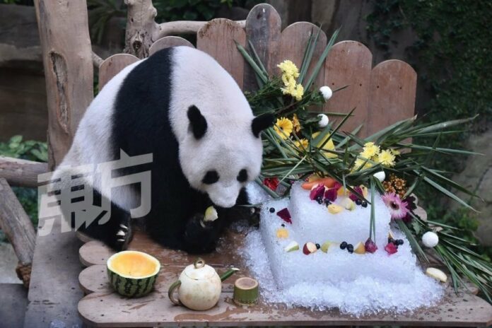 717de13c5f786070ec66cde481f2cce5