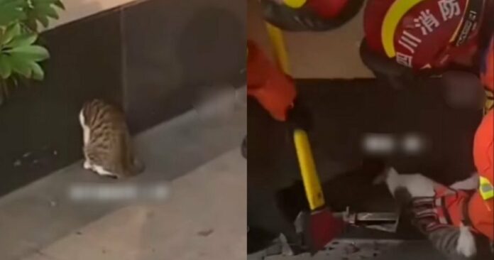 7af6b136483d5fbf74a0349d13166e1c