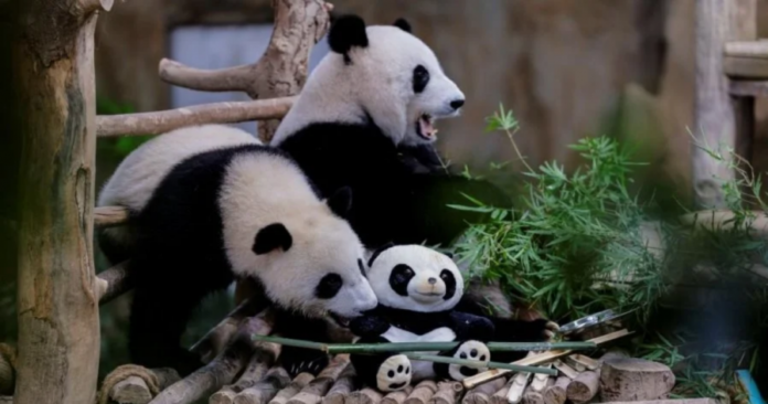 8d1ec5a46a19d20911947c820e53f83e