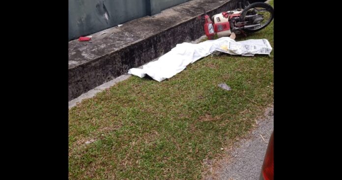 WhatsApp Image 2023-08-17 at 09.09.32