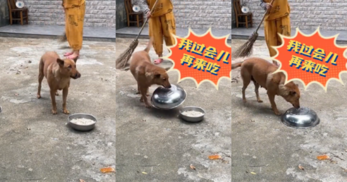 a772022c6a27e5397dc5d14c5ee46847