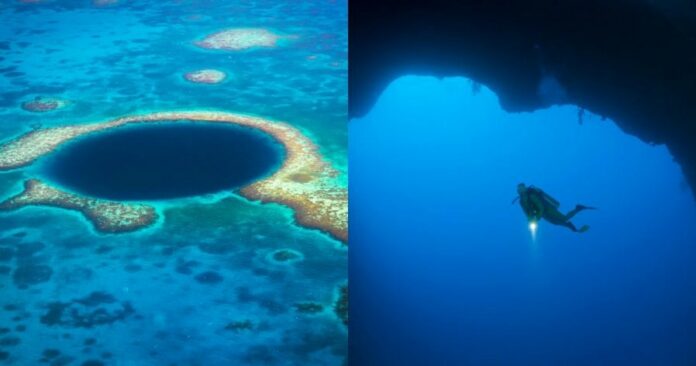 ab606289f576d49cdeaedc9dc1dcd43c