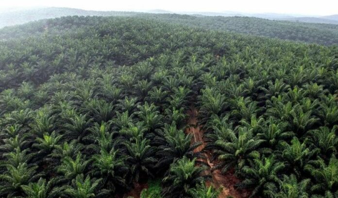 c52dbb8d5fcbffb25bbb150f23128da5