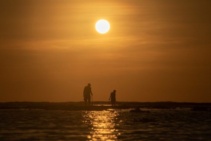 cc91c8d6c6c5b90c816d1b791d5099d4