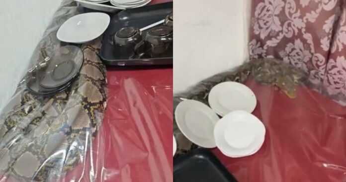 cfe064fd7a70823492f0b149b2974375