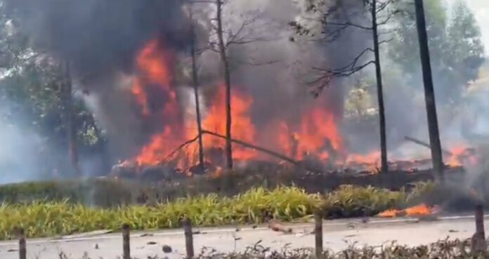 d9113d3afe5e32fe16130b50e1060d25