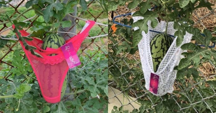 ff58359349e9aed5c3a3ea2cf711c181