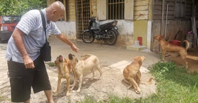 0096d6976363c45a99afb1258f008259