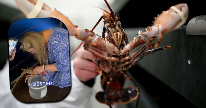 0f7dfc8476e9ce8ef4c7bfa200210eac