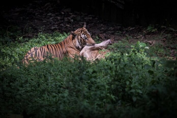 1e4a5f21b1686bc3f93781c575e73b91