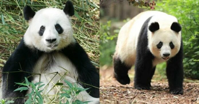 30e9f415ae3264ce9a042e3c2ab9f83a