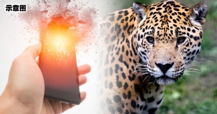 4179f6269a9c9f240d85d8e4ff690212