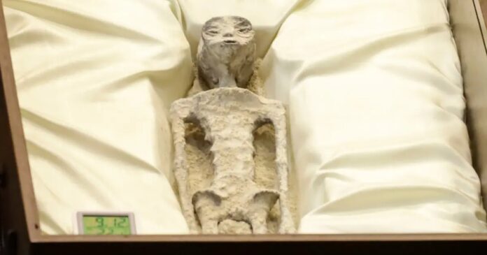 ZAORJ4G6PZG3VEB3PABRRQSPK4