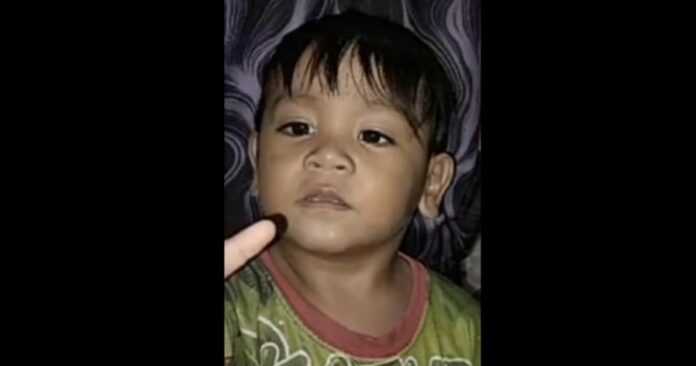 03fc57709a44169bc232695fbb4ba75a