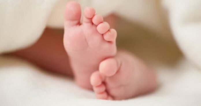 05a50b28ccaa79a327491867291d36ea