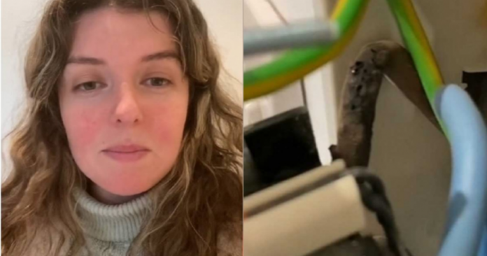 070bb83dc07d8cc2e54654c9c3b686d5