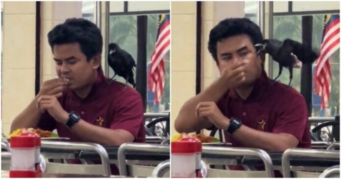 1a76c57d0503fa9387295625e9e369c5