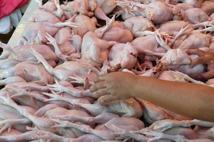 23d9324fa48c6ea91b429d08746cd699