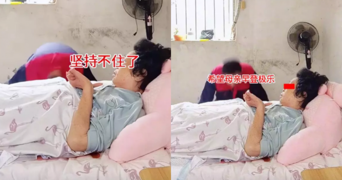 4223b79f810fbbed2f1bb474495b5b6e