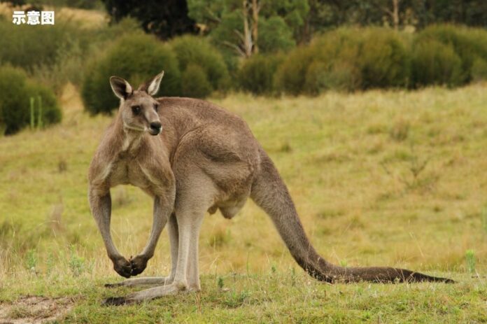 5eda73488b845b4884c5816796093135