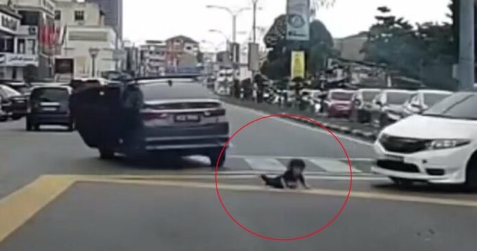 6170bbefe955f7e963fd26eef6069a72