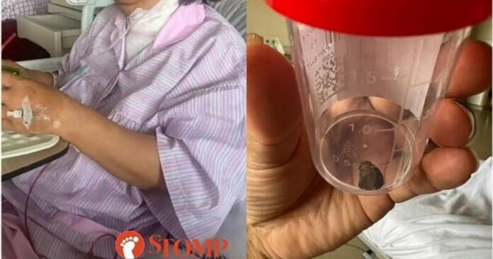 9931f7c853386f022d0b0035dbe12be0